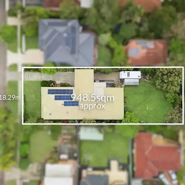 PREMIER FAMILY DELIGHT