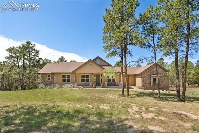 Custom Beauty on 2.5 Acres in Gated Black Forest Reserve