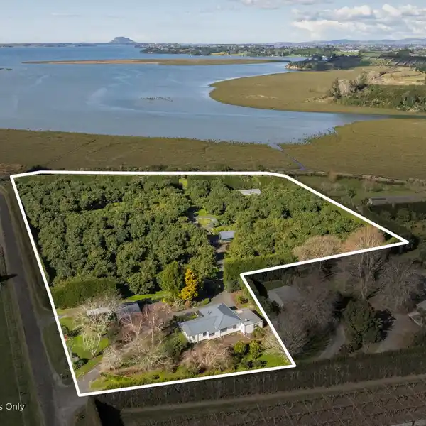 HARBOUR VIEWS WITH THRIVING AVOCADO ORCHARD