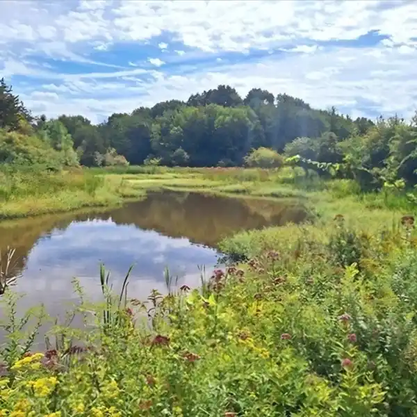 PICTURESQUE 5.7-ACRE LOT READY TO BUILD YOUR DREAM HOME