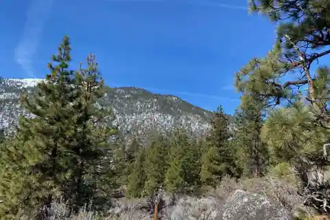 Exceptional Site in Clear Creek Tahoe