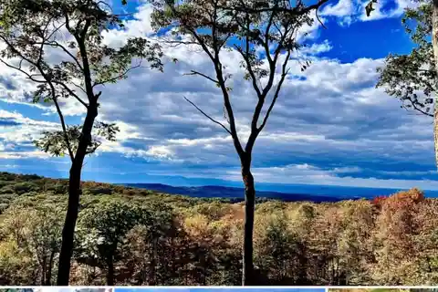 205 Acres of Pure Bliss