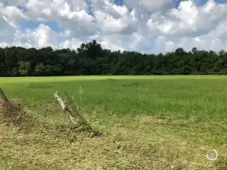 Gorgeous 3.57 Acres