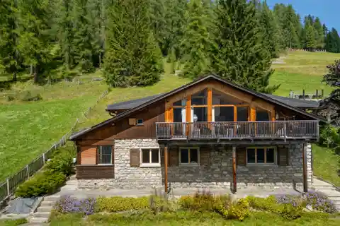 Chalet Mountain View