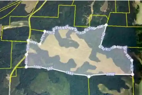 Over 200 Acres of Land in Madison County