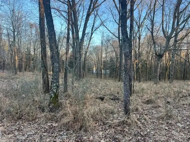 Large Image