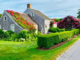 Shanunga - Antique Rose-covered Cottage