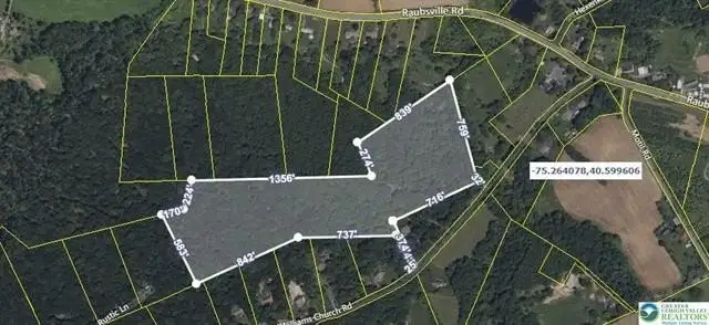 Large Image