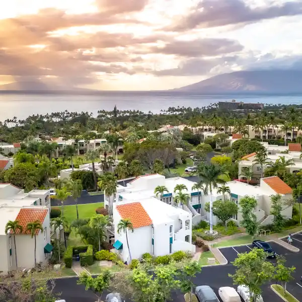 TRANQUILITY ON THE TOP ROW OF THE PALMS AT WAILEA