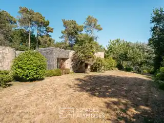 Natural Single-Story Architect-Designed House