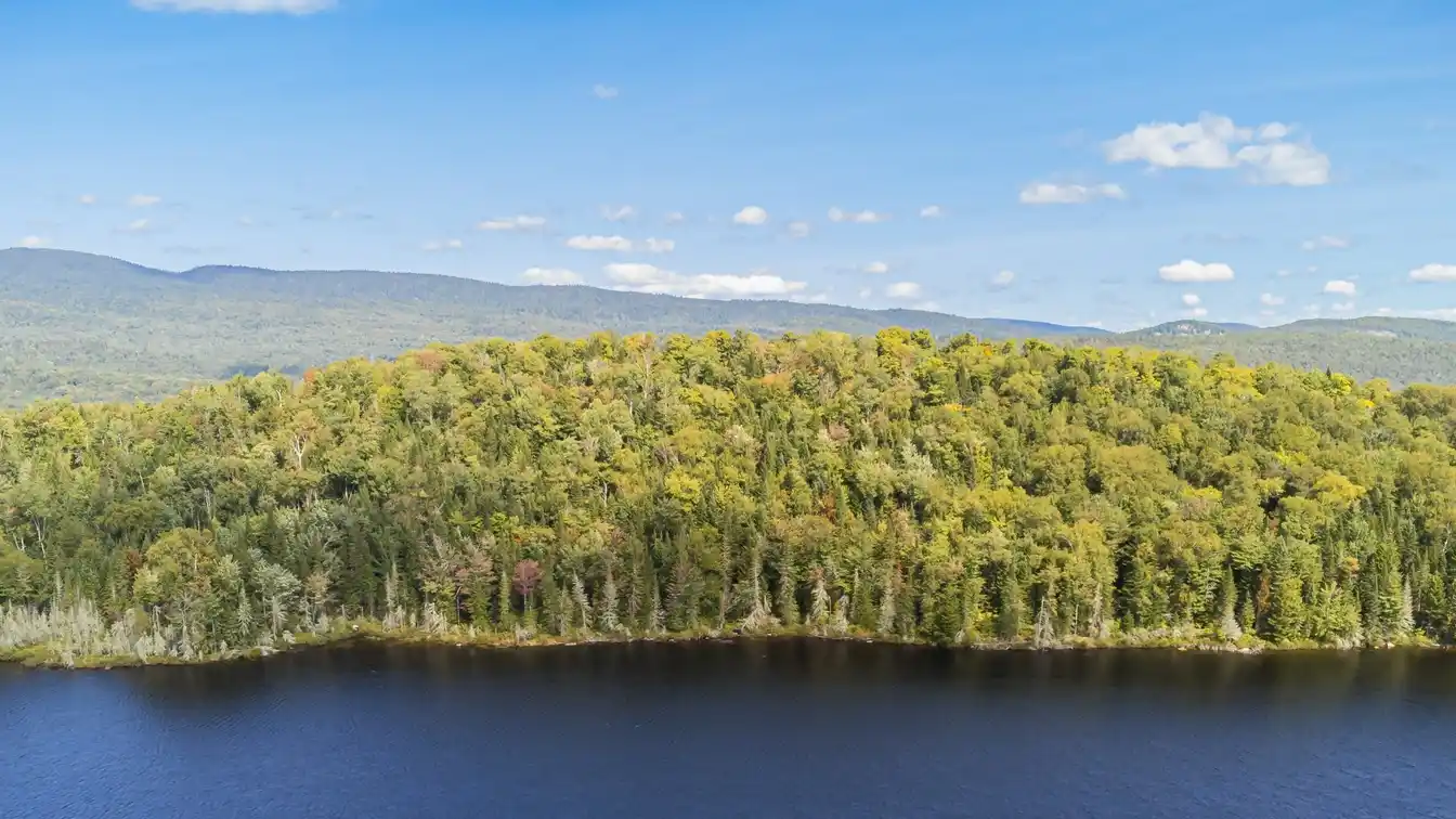 Exceptional Country Estate Opportunity