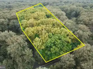 Create a Dream Retreat Surrounded by Nature's Beauty