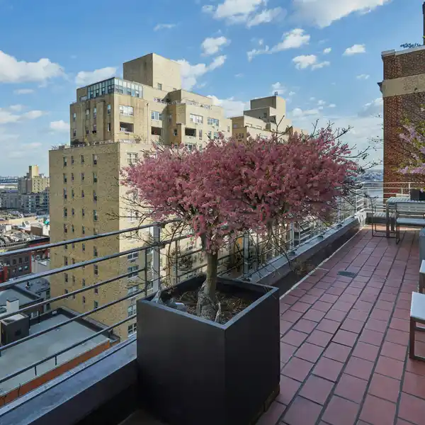 INDOOR AND OUTDOOR OASIS