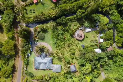 Lush Garden Sanctuary