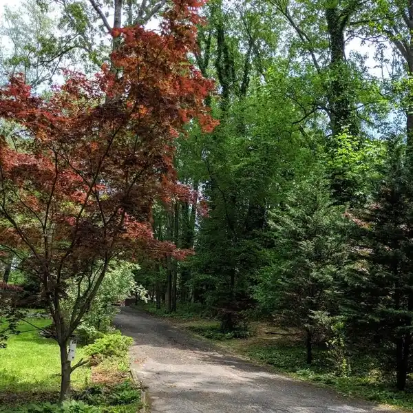PARK-LIKE PRISTINE LAND