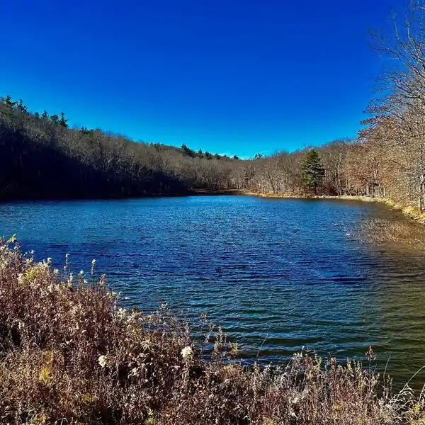 517 ACRES FOR ACTIVE COUNTRY LIVING