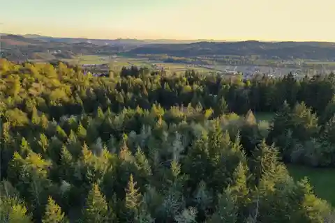 Prime Tehaleh Opportunity