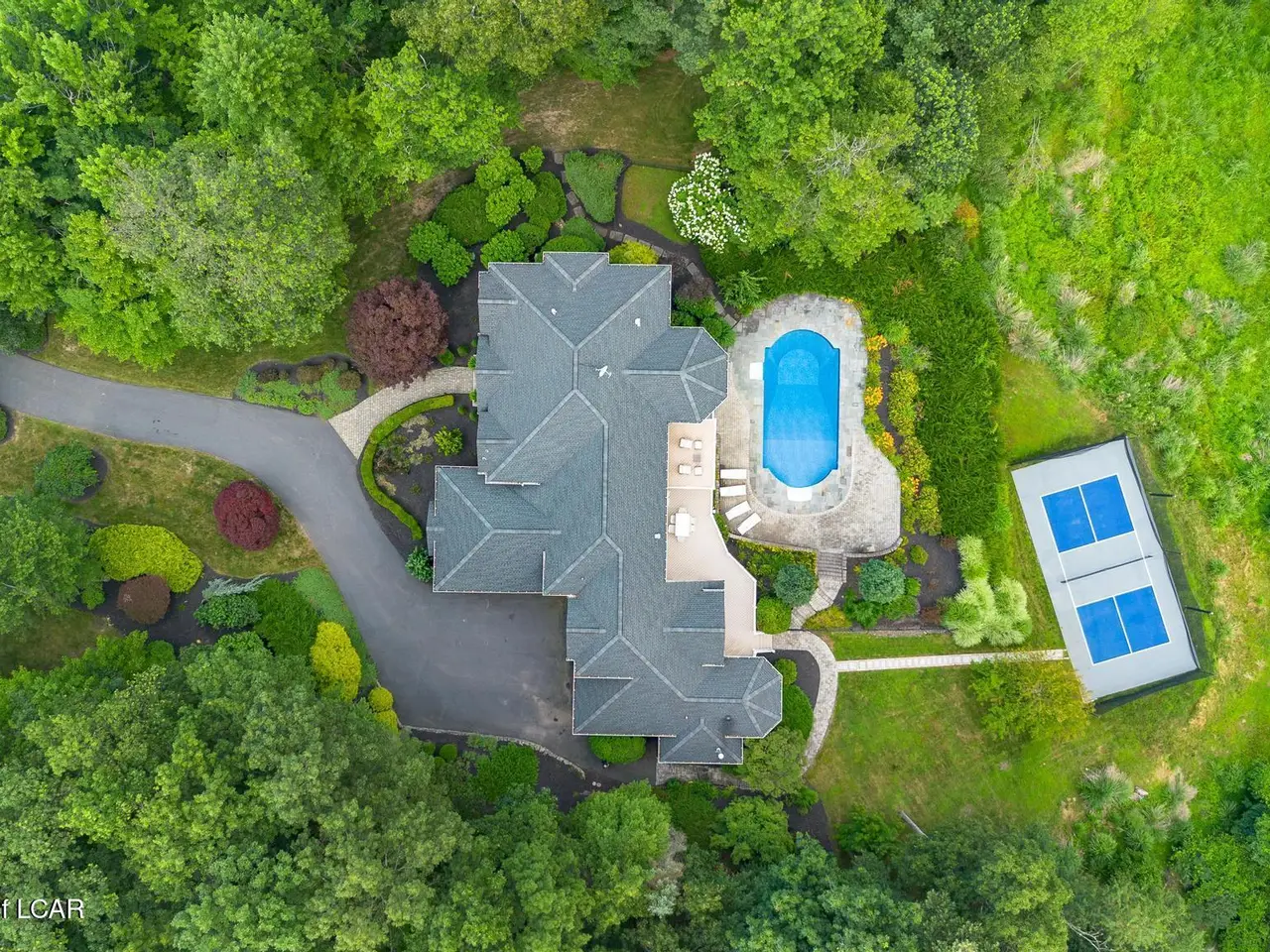 Large Image