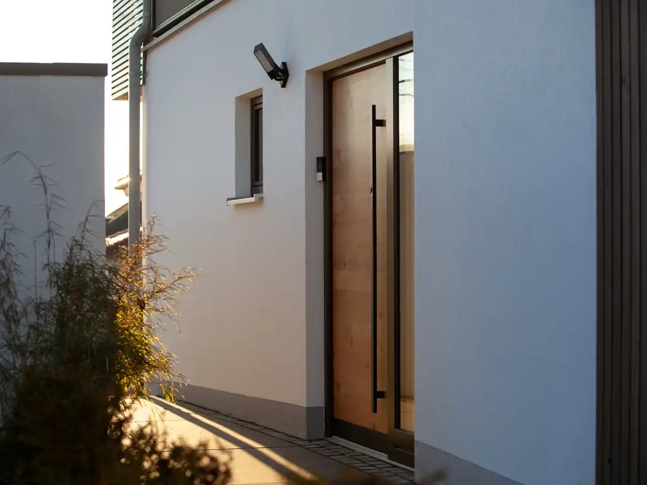 Small Image