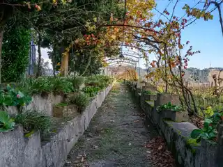 Wine Estate in the Douro Demarcated Region