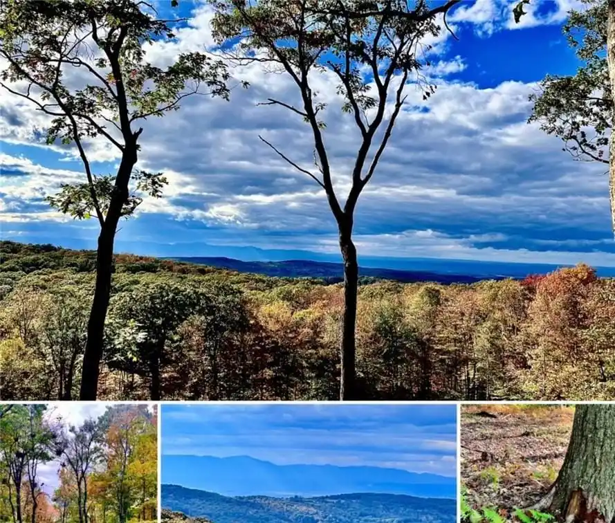 275 Acres of Unparalleled Country Living