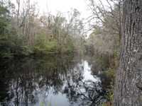 BEAUTIFUL ACREAGE