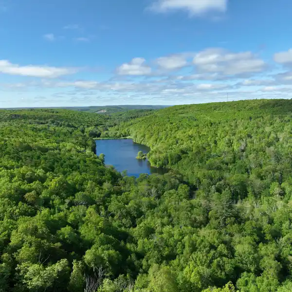 SPECTACULAR 353 ACRES WITH LAKE