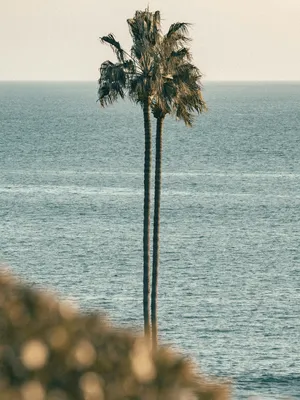 Waterfront