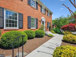 Timeless Colonial with Backyard Oasis