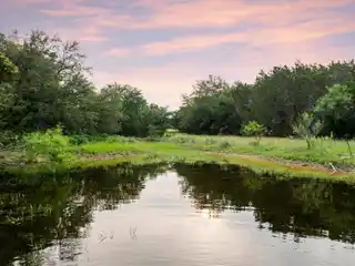 50 Acres at Muleshoe Bend