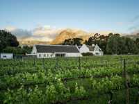 FRANSCHHOEK'S HIDDEN GEM - A UNIQUE WINE FARM