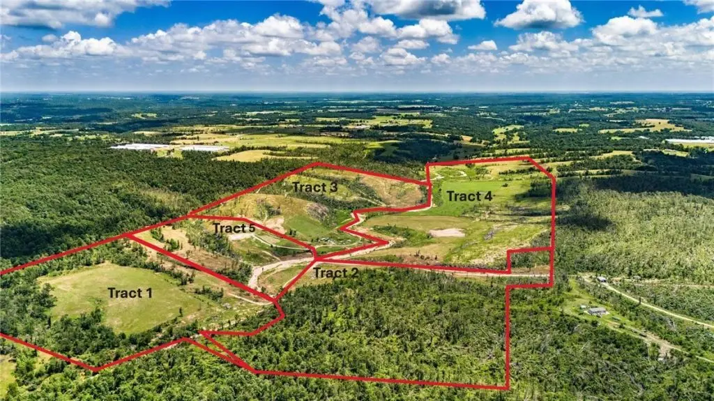 Large Image